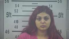 Mugshot of SALINAS, BRANDI  